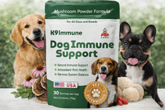 Healthy dog meal with K9 Immune Dog Immune Support Powder supplement
